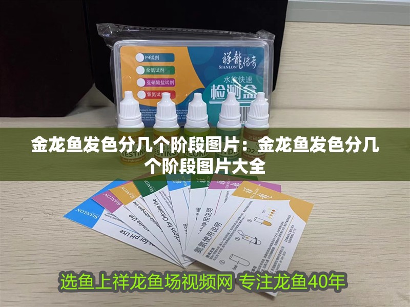 金龍魚發(fā)色分幾個階段圖片：金龍魚發(fā)色分幾個階段圖片大全