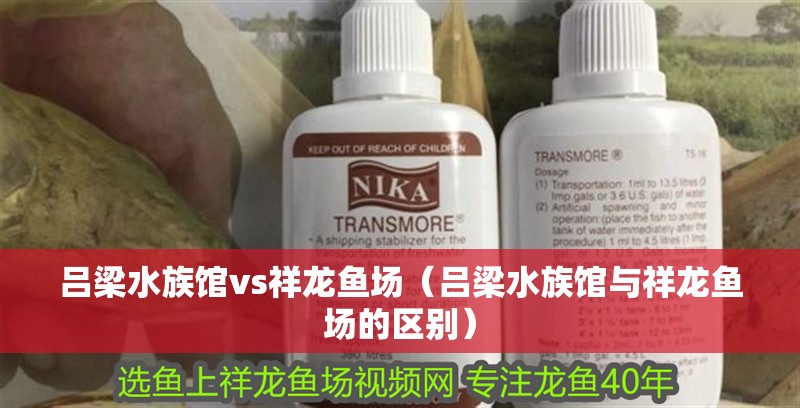 呂梁水族館vs祥龍魚場(呂梁水族館與祥龍魚場的區別) 全國水族館企業名錄 第1張 呂梁水族館vs祥龍魚場(呂梁水族館與祥龍魚場的區別) 呂梁水族館vs祥龍魚場(呂梁水族館與祥龍魚場的區別) 全國水族館企業名錄 第1張