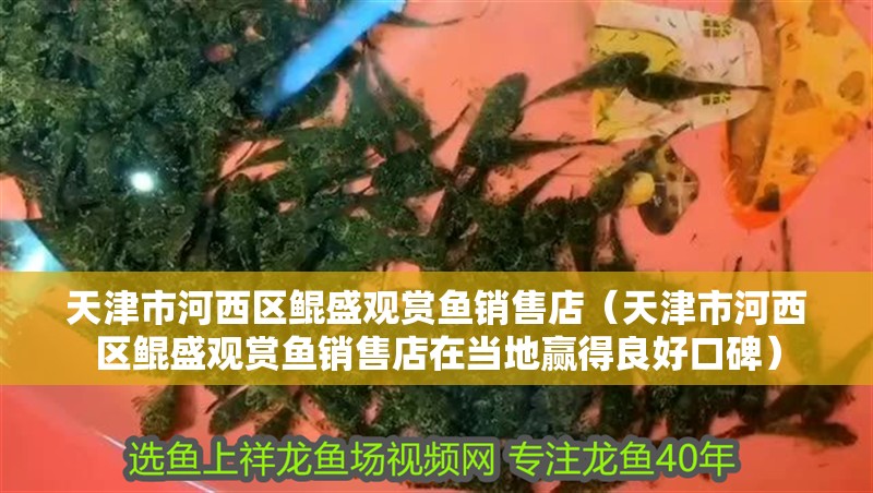 天津市河西區鯤盛觀賞魚銷售店（天津市河西區鯤盛觀賞魚銷售店在當地贏得良好口碑）