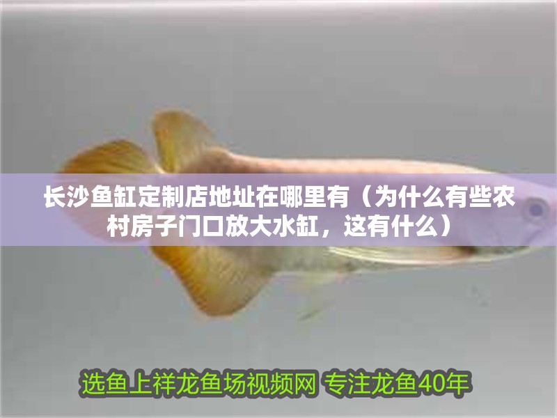 長沙魚缸定制店地址在哪里有（為什么有些農村房子門口放大水缸，這有什么）