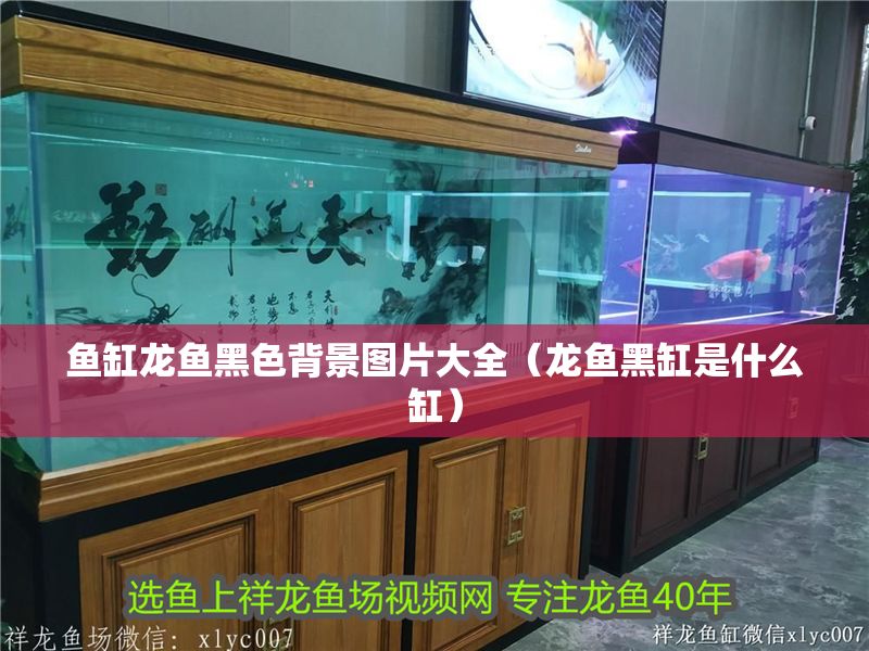 魚缸龍魚黑色背景圖片大全（龍魚黑缸是什么缸）