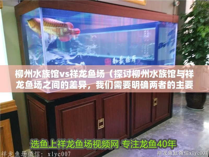 柳州水族館vs祥龍魚場（探討柳州水族館與祥龍魚場之間的差異，我們需要明確兩者的主要業務和特點）