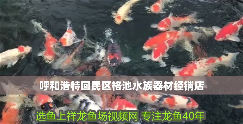 呼和浩特回民區(qū)格池水族器材經(jīng)銷店