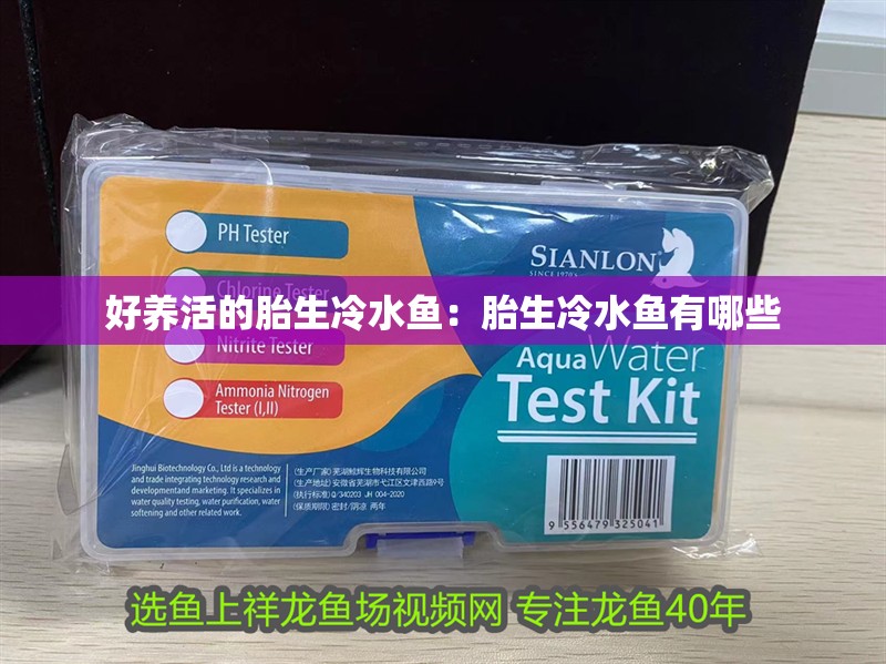 好養(yǎng)活的胎生冷水魚：胎生冷水魚有哪些