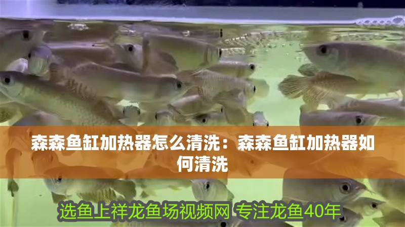森森魚缸加熱器怎么清洗：森森魚缸加熱器如何清洗