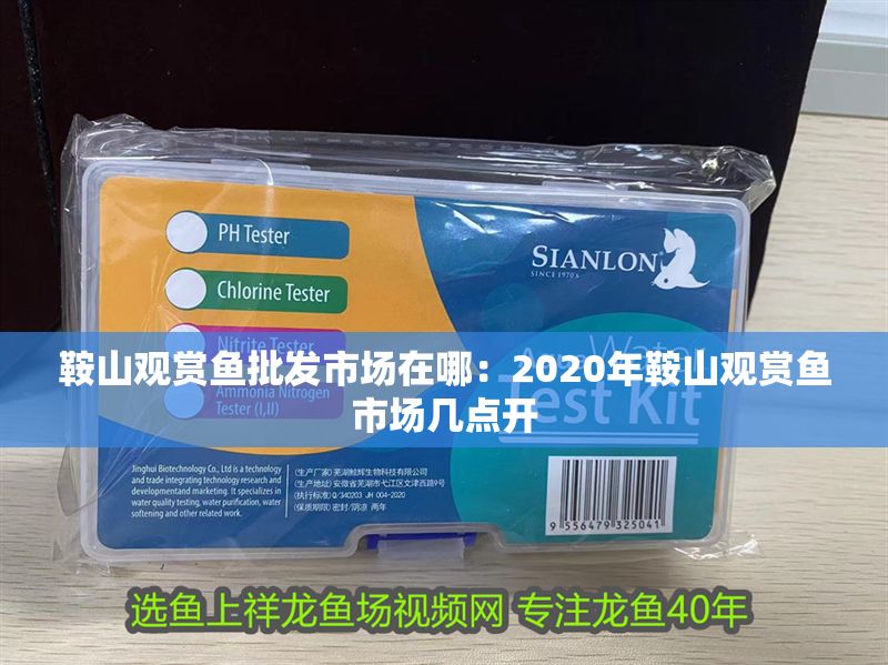 鞍山觀賞魚批發(fā)市場(chǎng)在哪：2020年鞍山觀賞魚市場(chǎng)幾點(diǎn)開