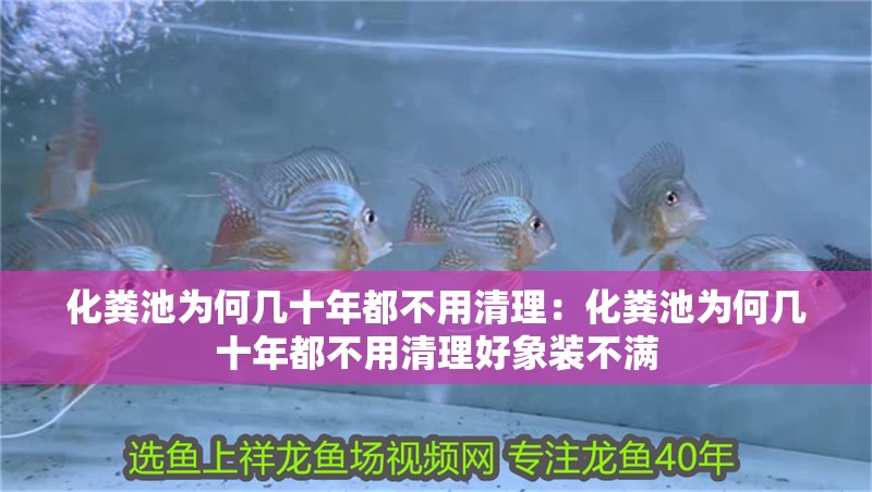 化糞池為何幾十年都不用清理：化糞池為何幾十年都不用清理好象裝不滿