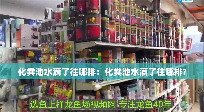 化糞池水滿了往哪排：化糞池水滿了往哪排?