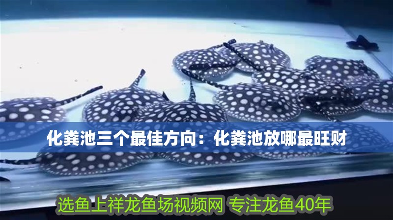 化糞池三個(gè)最佳方向：化糞池放哪最旺財(cái)