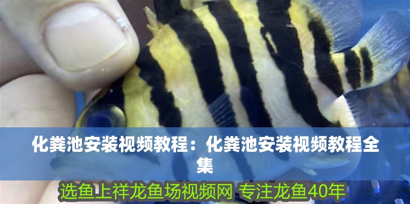 化糞池安裝視頻教程：化糞池安裝視頻教程全集