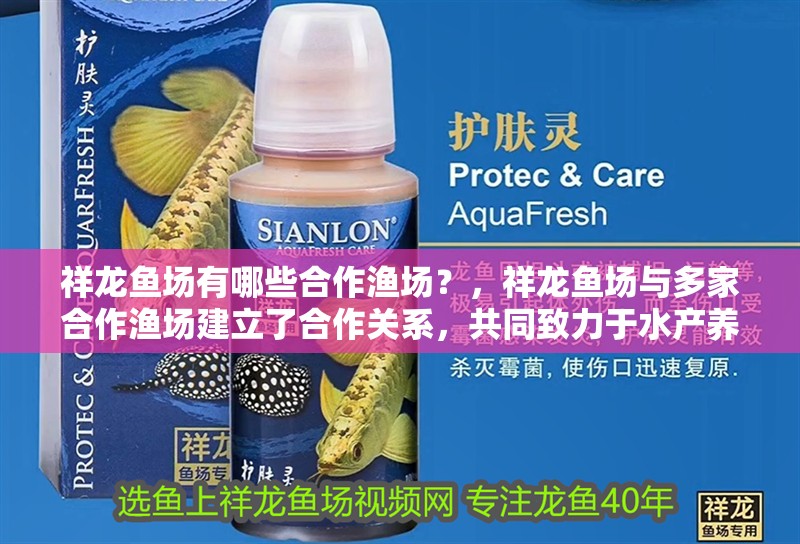 詳細閱讀:祥龍魚場有哪些合作漁場?,祥龍魚場與多家合作漁場建立了合作關系,共同致力于水產養殖和漁業發展 祥龍魚場有哪些合作漁場?,祥龍魚場與多家合作漁場建立了合作關系,共同致力于水產養殖和漁業發展