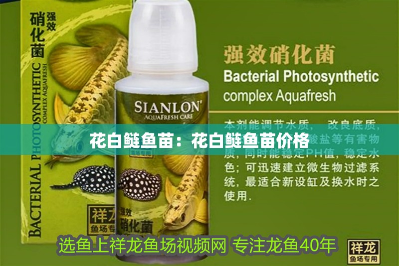 花白鰱魚苗：花白鰱魚苗價格