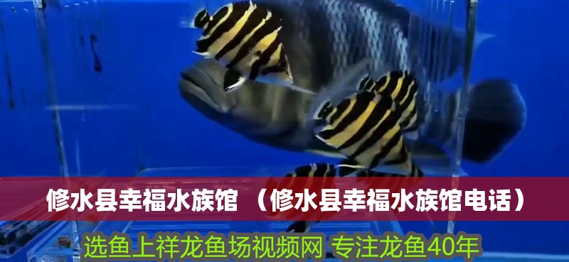 修水縣幸福水族館 （修水縣幸福水族館電話）