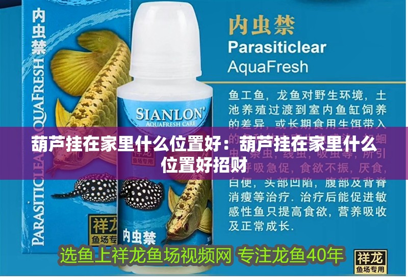 葫蘆掛在家里什么位置好：葫蘆掛在家里什么位置好招財