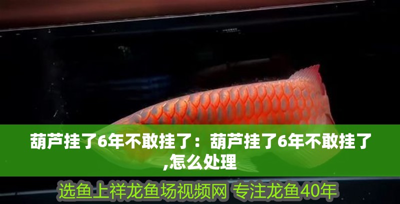 葫蘆掛了6年不敢掛了：葫蘆掛了6年不敢掛了,怎么處理