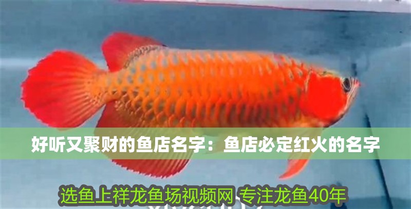 好聽又聚財的魚店名字：魚店必定紅火的名字