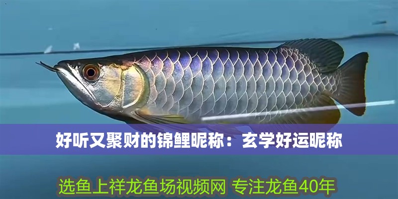 好聽又聚財的錦鯉昵稱：玄學好運昵稱