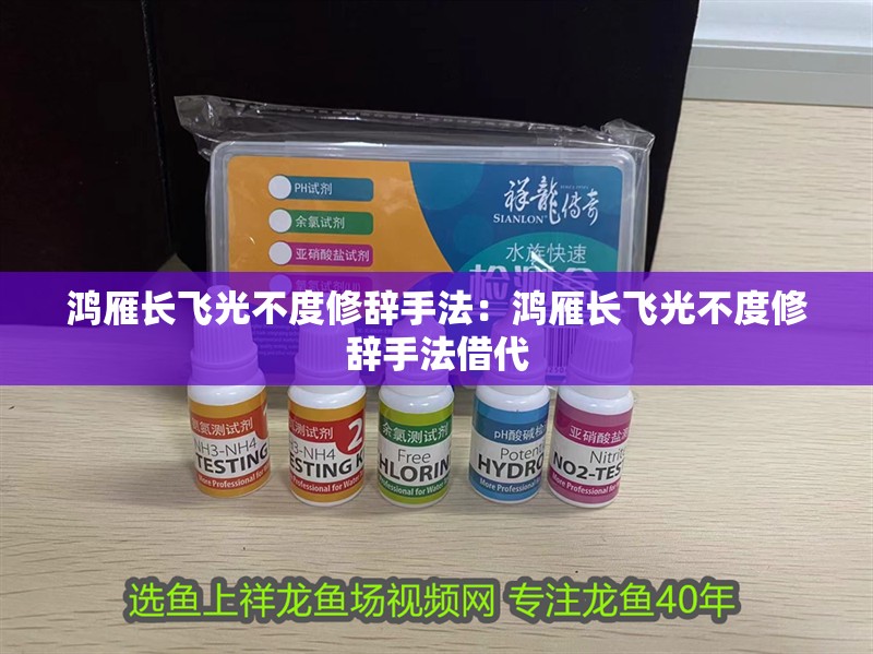 鴻雁長飛光不度修辭手法：鴻雁長飛光不度修辭手法借代