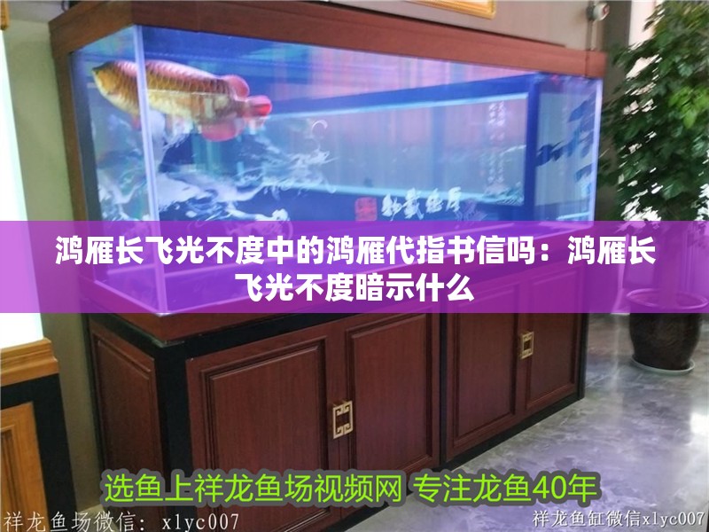 鴻雁長飛光不度中的鴻雁代指書信嗎：鴻雁長飛光不度暗示什么