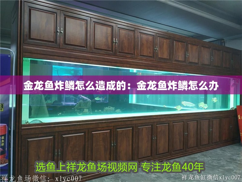 金龍魚炸鱗怎么造成的：金龍魚炸鱗怎么辦