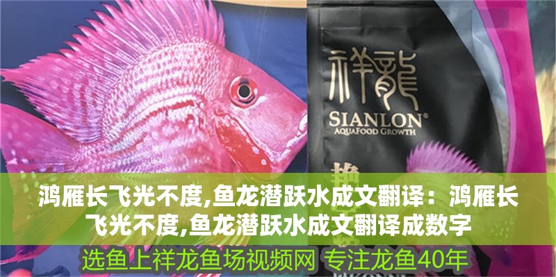 鴻雁長飛光不度,魚龍潛躍水成文翻譯：鴻雁長飛光不度,魚龍潛躍水成文翻譯成數字