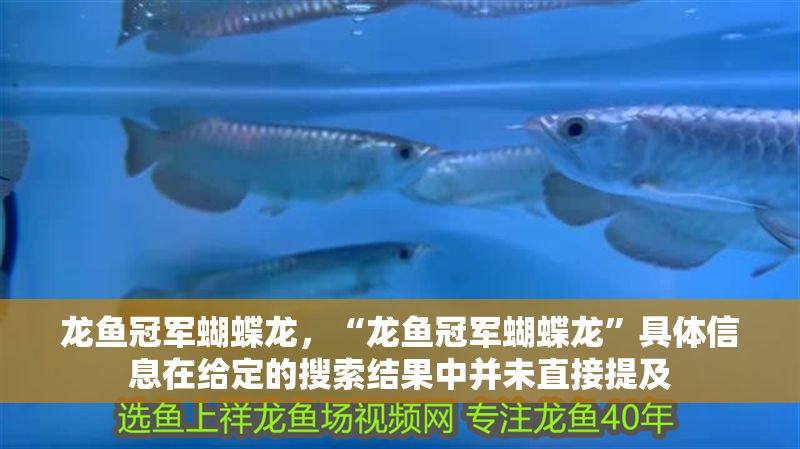 龍魚冠軍蝴蝶龍，“龍魚冠軍蝴蝶龍”具體信息在給定的搜索結果中并未直接提及