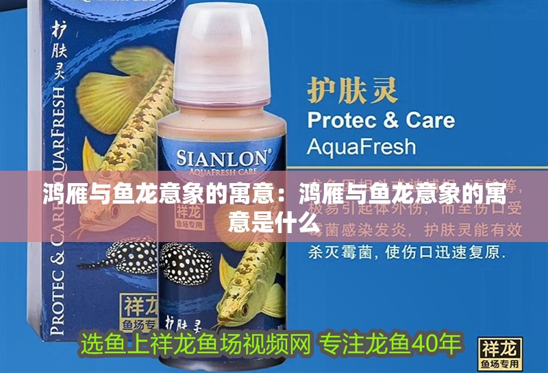 鴻雁與魚龍意象的寓意：鴻雁與魚龍意象的寓意是什么