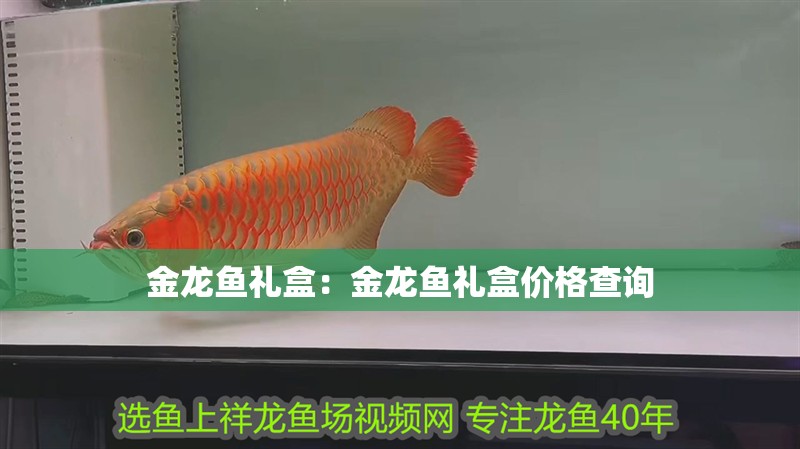 金龍魚禮盒：金龍魚禮盒價格查詢