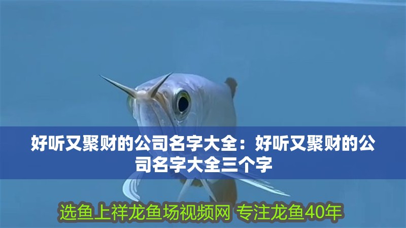 好聽又聚財的公司名字大全：好聽又聚財的公司名字大全三個字
