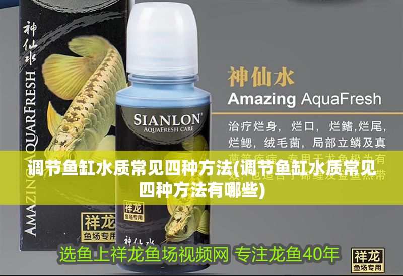調(diào)節(jié)魚缸水質(zhì)常見四種方法(調(diào)節(jié)魚缸水質(zhì)常見四種方法有哪些)