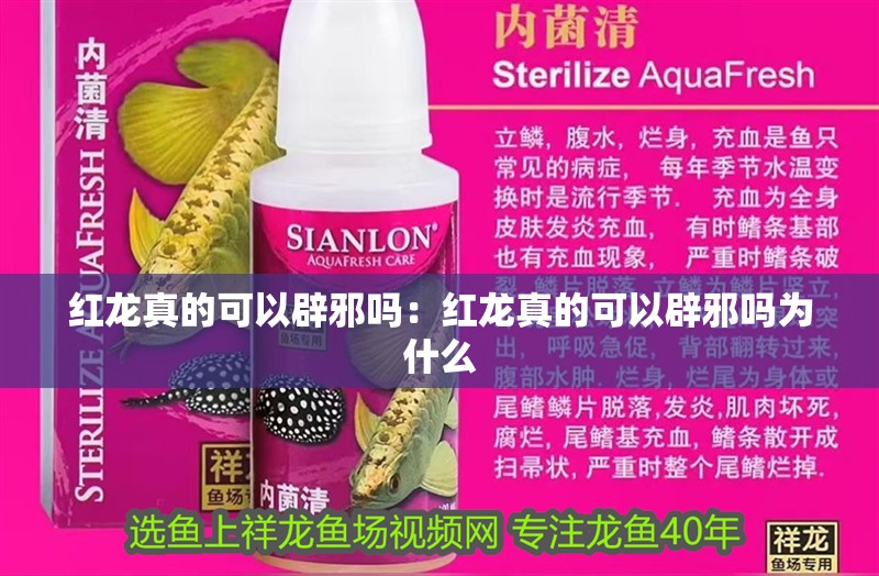 紅龍真的可以辟邪嗎：紅龍真的可以辟邪嗎為什么