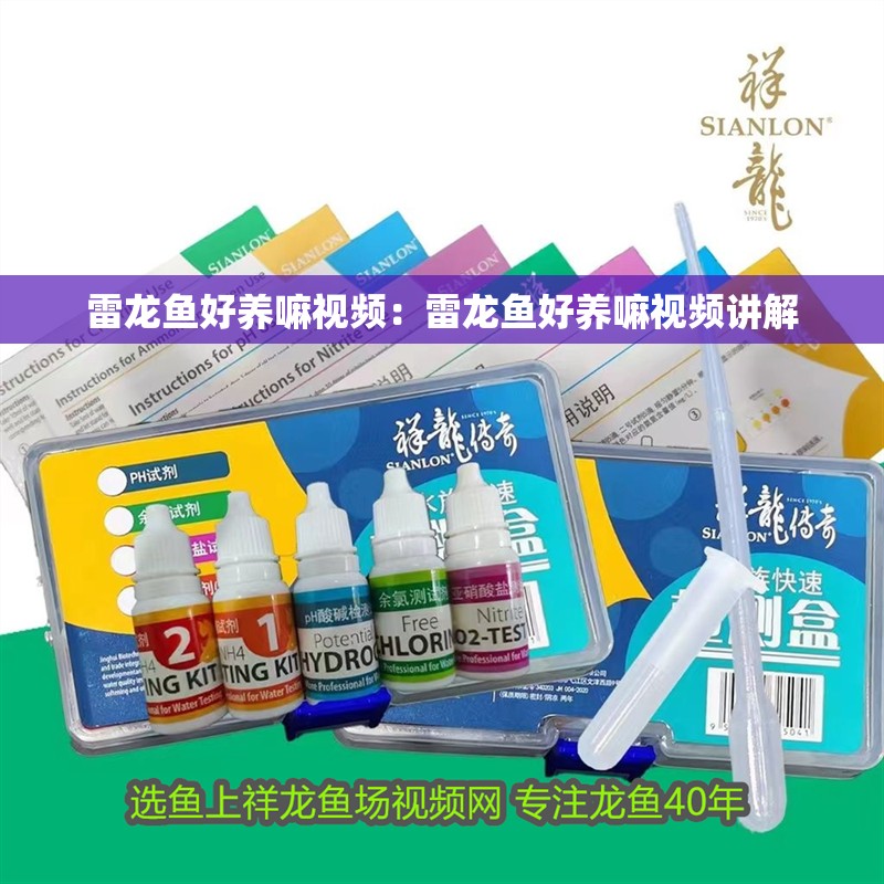 雷龍魚好養嘛視頻：雷龍魚好養嘛視頻講解