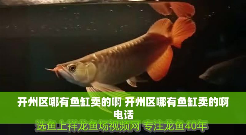 開州區(qū)哪有魚缸賣的啊 開州區(qū)哪有魚缸賣的啊電話