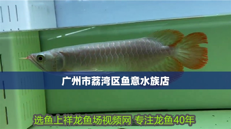 廣州市荔灣區魚意水族店