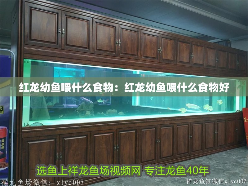紅龍幼魚喂什么食物：紅龍幼魚喂什么食物好