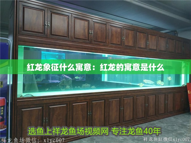 紅龍象征什么寓意：紅龍的寓意是什么