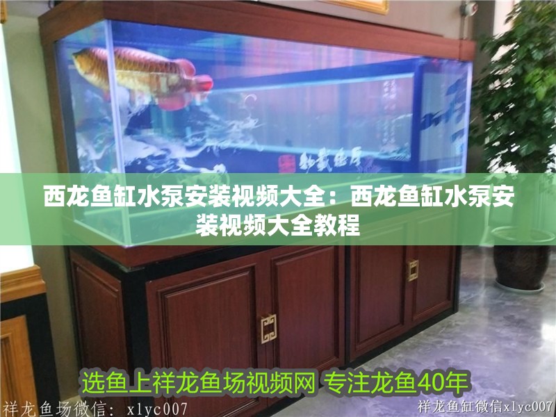 西龍魚缸水泵安裝視頻大全：西龍魚缸水泵安裝視頻大全教程