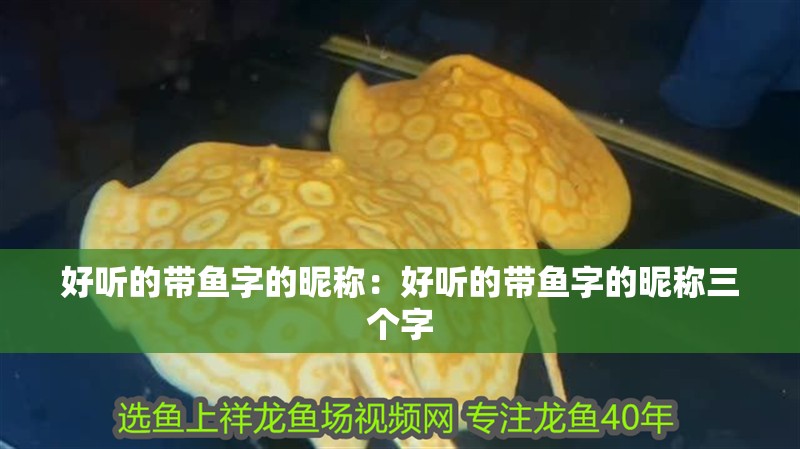 好聽的帶魚字的昵稱：好聽的帶魚字的昵稱三個字