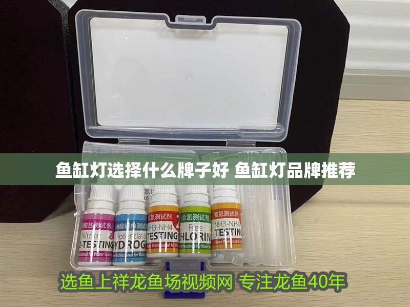 魚缸燈選擇什么牌子好 魚缸燈品牌推薦 魚缸燈選擇什么牌子好 魚缸燈品牌推薦 龍魚百科 第1張