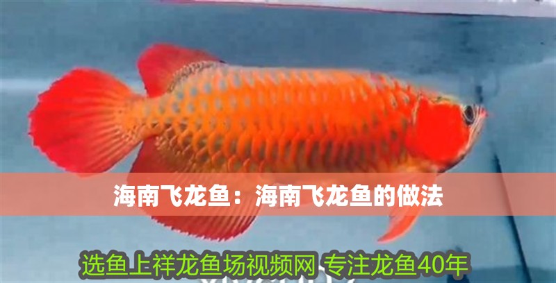 海南飛龍魚：海南飛龍魚的做法