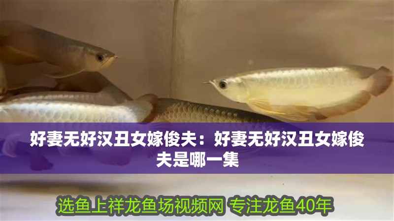 好妻無好漢丑女嫁俊夫：好妻無好漢丑女嫁俊夫是哪一集
