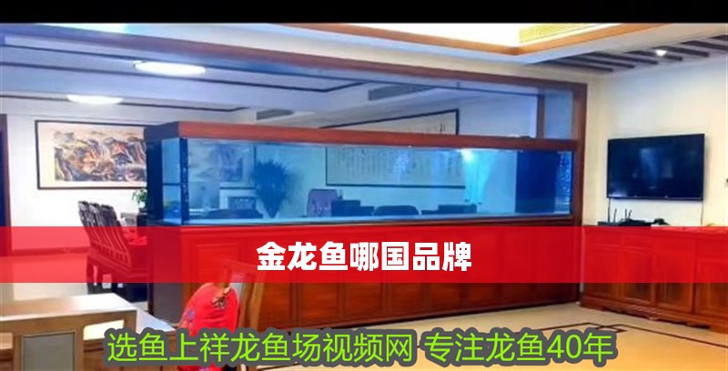 金龍魚哪國品牌