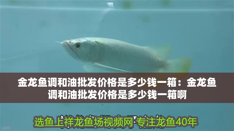 銀龍魚突然趴缸底怎么辦啊(金龍魚總趴缸底怎么回事)