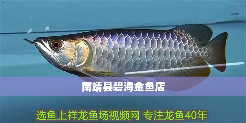 南靖縣碧海金魚店