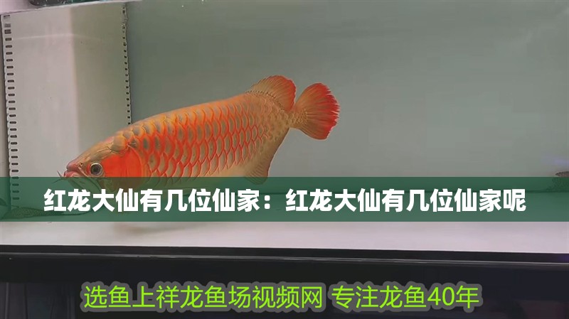 紅龍大仙有幾位仙家：紅龍大仙有幾位仙家呢