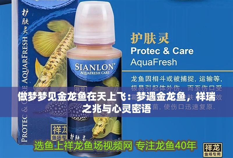 做夢夢見金龍魚在天上飛：夢遇金龍魚，祥瑞之兆與心靈密語