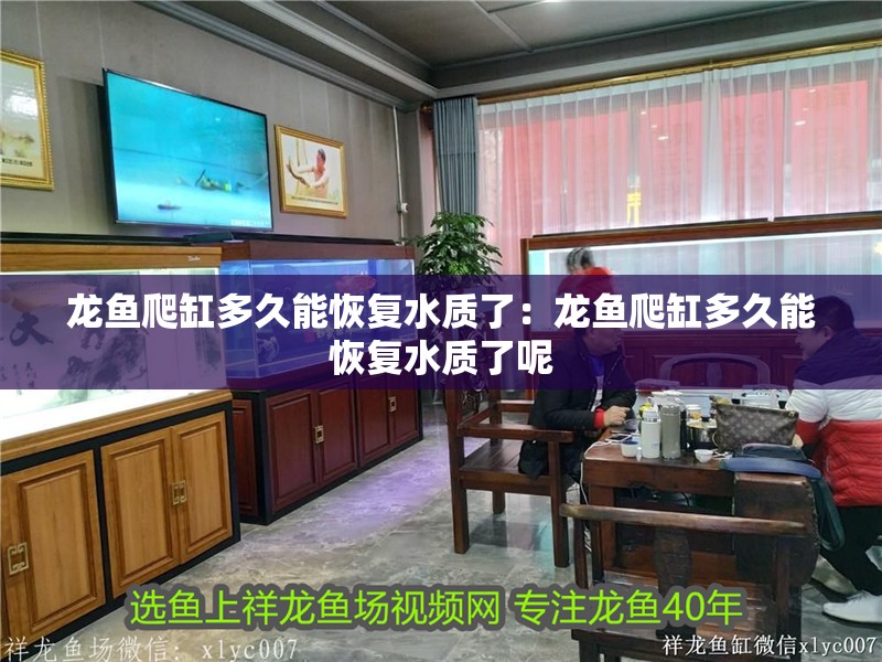 龍魚爬缸多久能恢復水質了：龍魚爬缸多久能恢復水質了呢