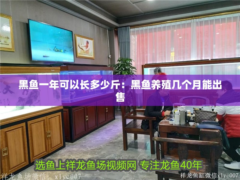 黑魚一年可以長多少斤：黑魚養殖幾個月能出售