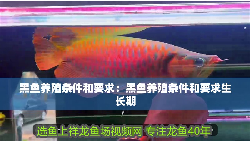 黑魚養殖條件和要求：黑魚養殖條件和要求生長期