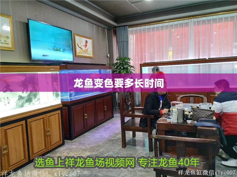 龍魚變色要多長時間